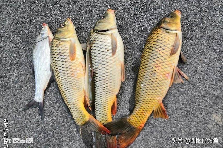 西北风好钓鱼吗(挑选天气钓出大鱼的诀窍)-图片3